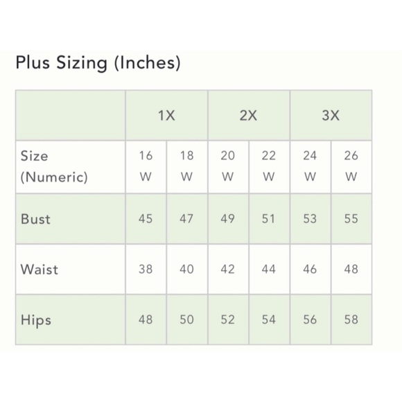 Anthropologie Dani Lace Tunic Dress NWT Size 20W - Picture 12 of 12